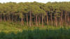 Image illustrative de larticle Fort des Landes