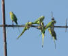 Description de cette image, galement commente ci-aprs