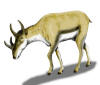 Description de cette image, galement commente ci-aprs