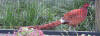 Description de cette image, galement commente ci-aprs