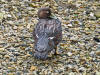 Description de cette image, galement commente ci-aprs