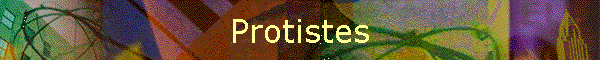 Protistes