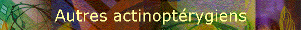 Autres actinoptrygiens
