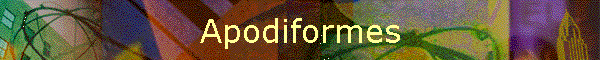 Apodiformes