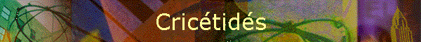 Crictids