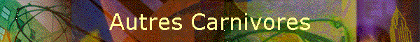 Autres Carnivores