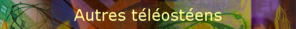 Autres tlostens