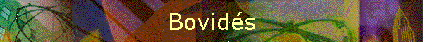 Bovids