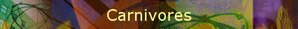 Carnivores