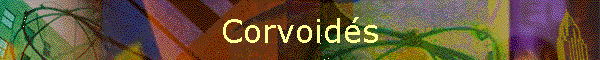 Corvoids