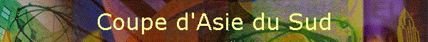 Coupe d'Asie du Sud
