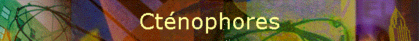 Ctnophores