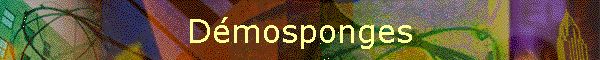Dmosponges