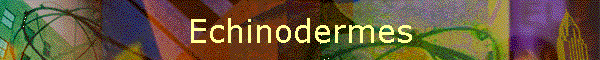 Echinodermes
