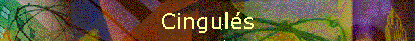 Cinguls