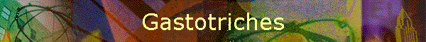 Gastotriches