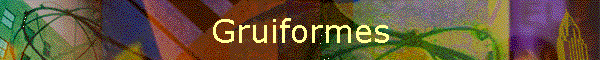 Gruiformes