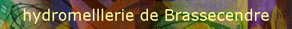hydromelllerie de Brassecendre