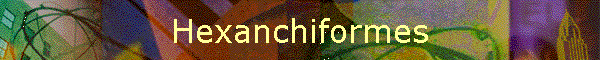 Hexanchiformes