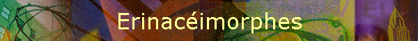 Erinacimorphes