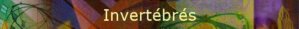 Invertbrs