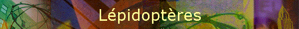 Lpidoptres