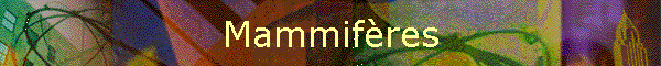 Mammifres