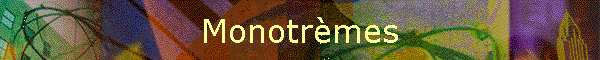 Monotrmes