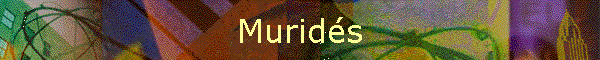 Murids