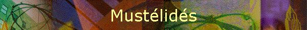 Mustlids