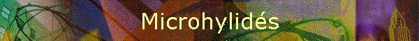 Microhylids