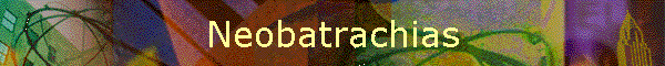 Neobatrachias