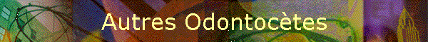Autres Odontoctes