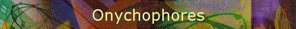 Onychophores