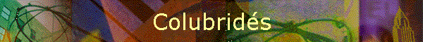 Colubrids