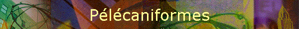 Plcaniformes