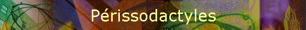 Prissodactyles