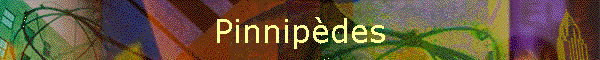 Pinnipdes