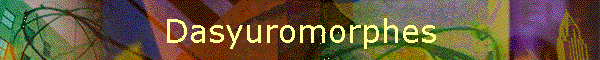 Dasyuromorphes