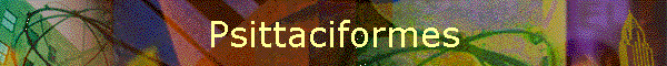 Psittaciformes