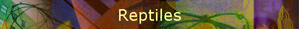 Reptiles