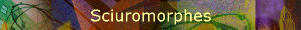 Sciuromorphes