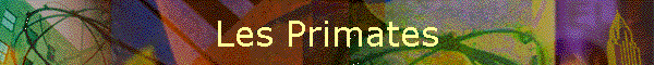 Les Primates