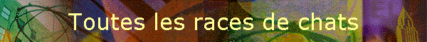 Toutes les races de chats