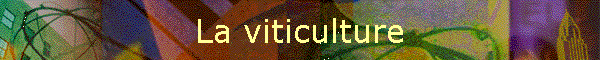La viticulture