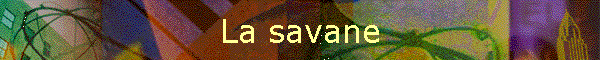 La savane
