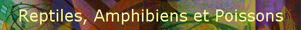 Reptiles, Amphibiens et Poissons