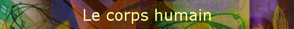 Le corps humain