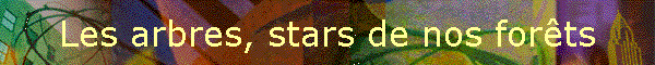Les arbres, stars de nos forts