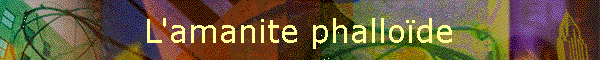 L'amanite phallode